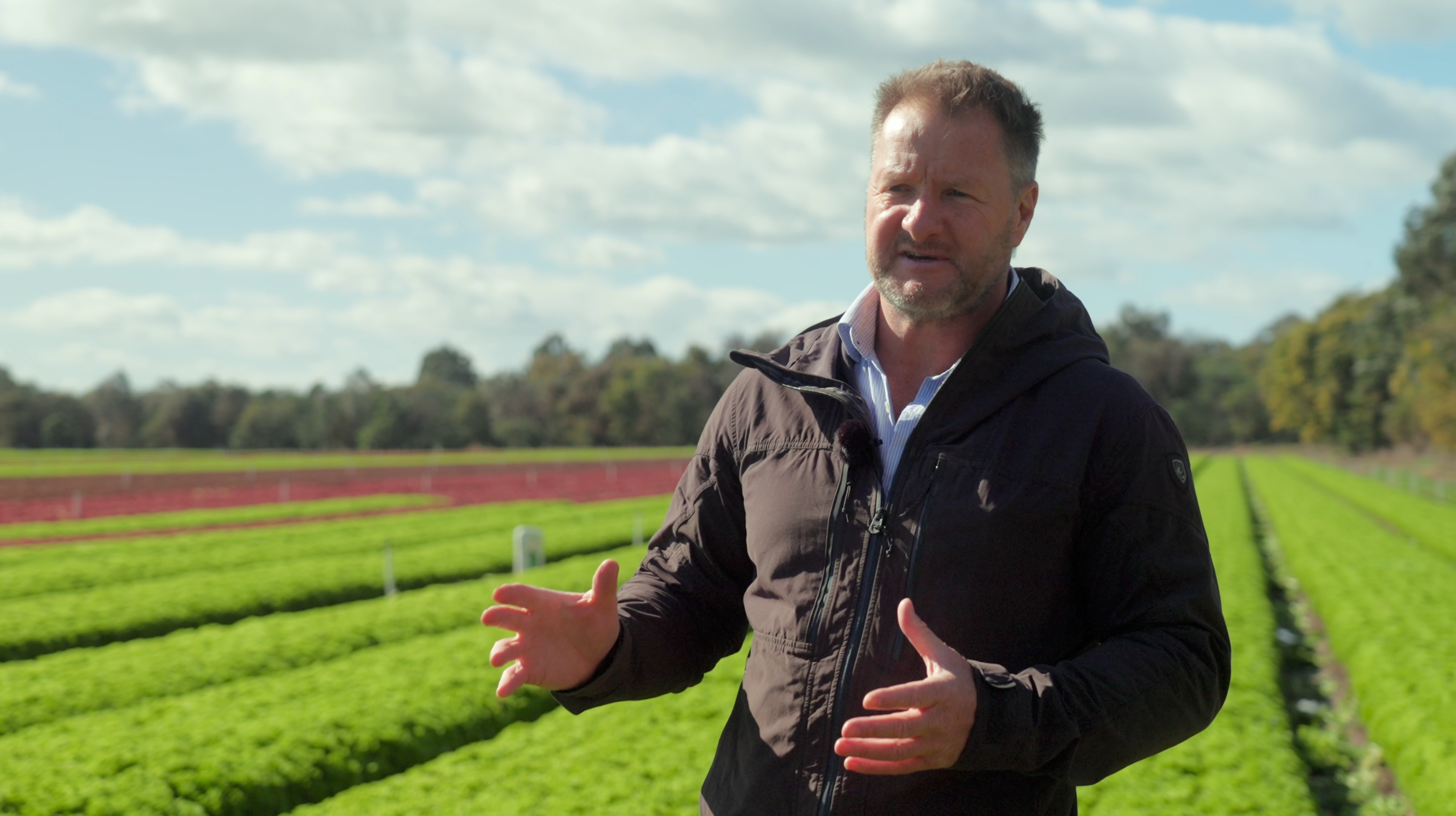 Syngenta Grower of the Year: Hussey & Co